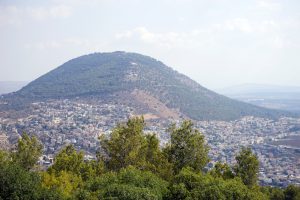 קרקע חקלאית למכירה בכפר תבור