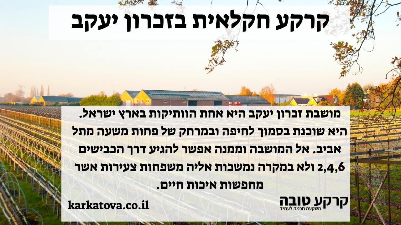 תמונה ראשית - קרקע חקלאית בזכרון יעקב