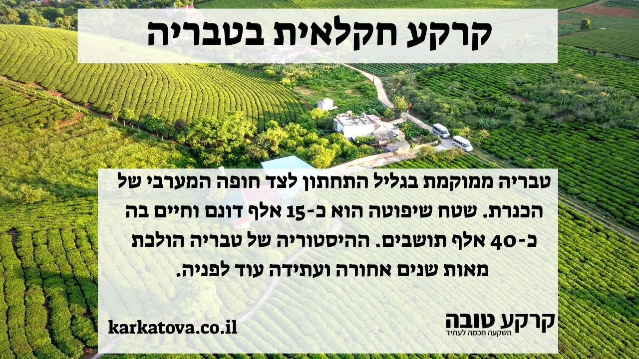 קרקע חקלאית בטבריה