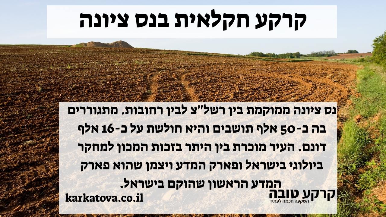 תמונה ראשית - קרקע חקלאית בנס ציונה