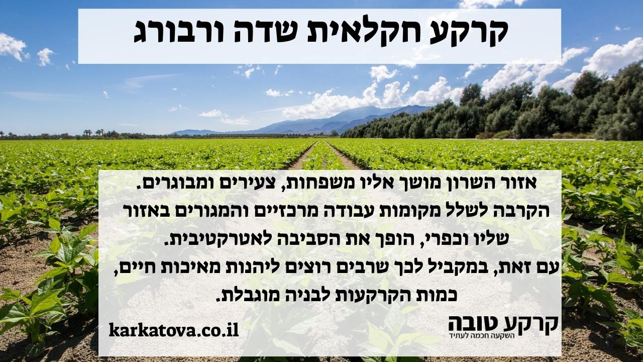 תמונה ראשית - קרקע חקלאית שדה ורבורג